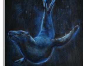 l’Acrobate - portrait Otarie