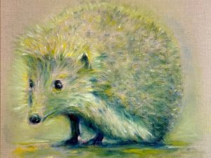 le Timide - portrait Hérisson