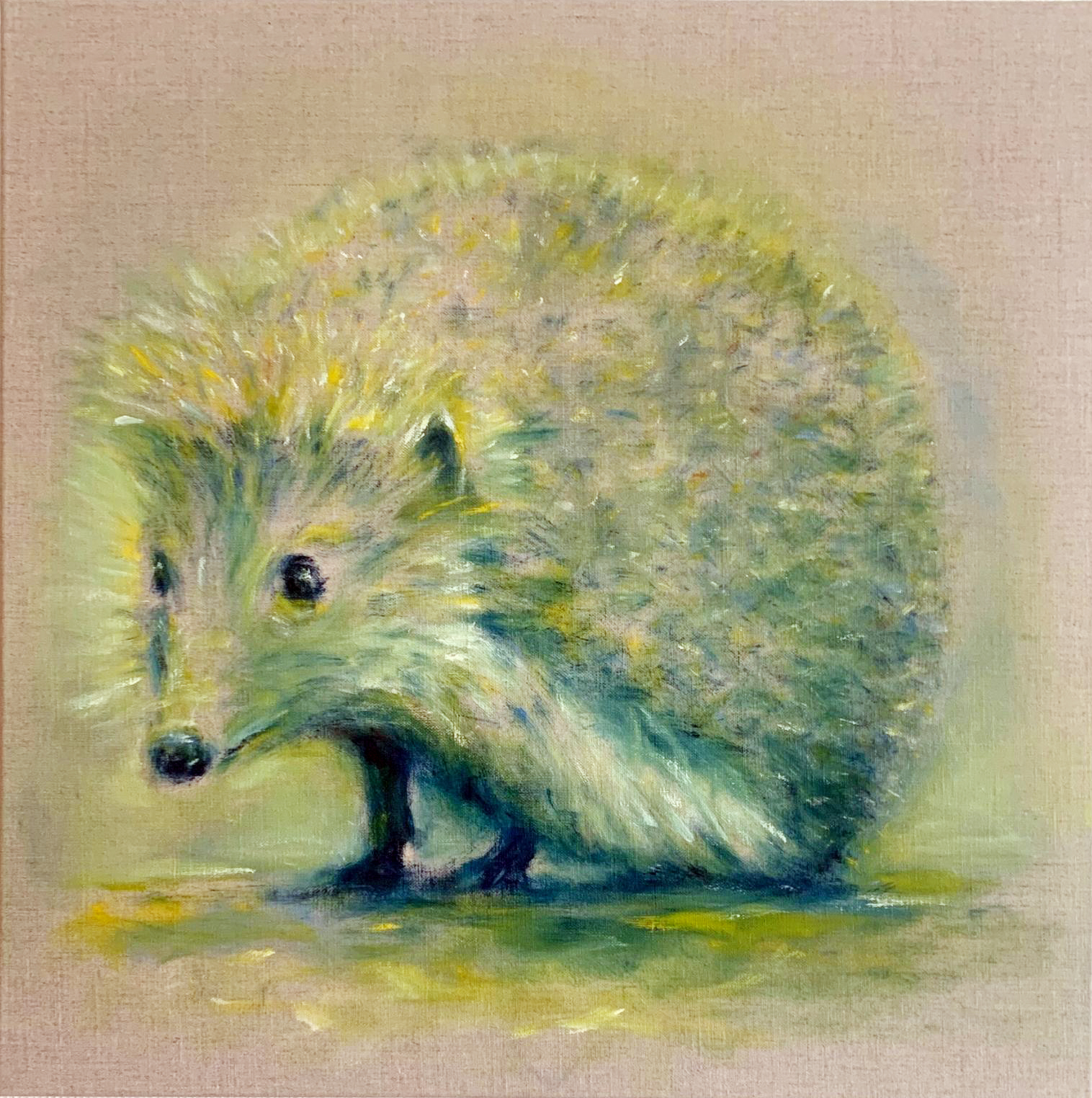 le Timide – portrait Hérisson